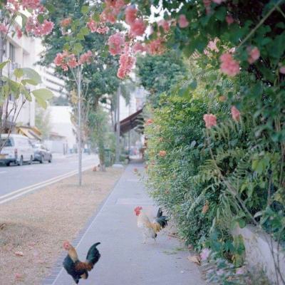 8188www威尼斯手机app下载