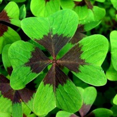 南宫体育app下载