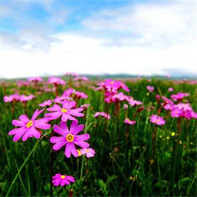 云博体育平台官网下载