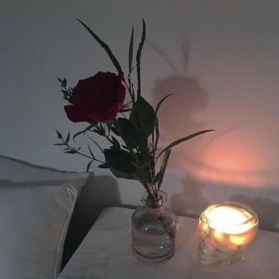 华会体育官方网站首页登录