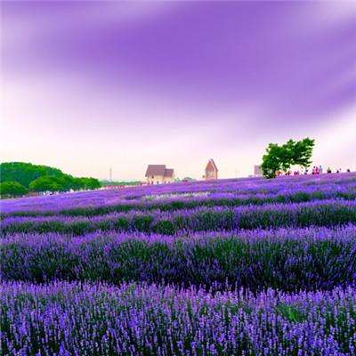 乐鱼竞彩官网下载手机版